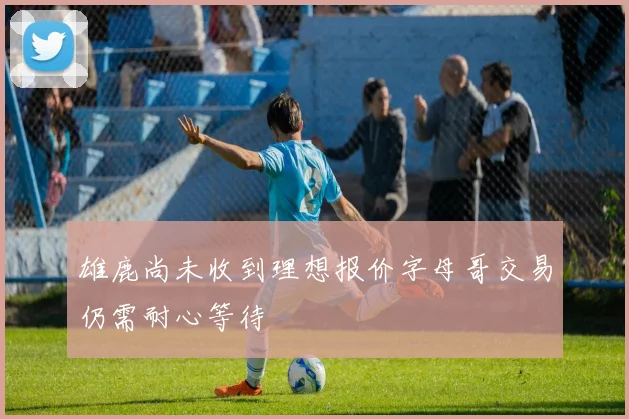 雄鹿尚未收到理想报价字母哥交易仍需耐心等待